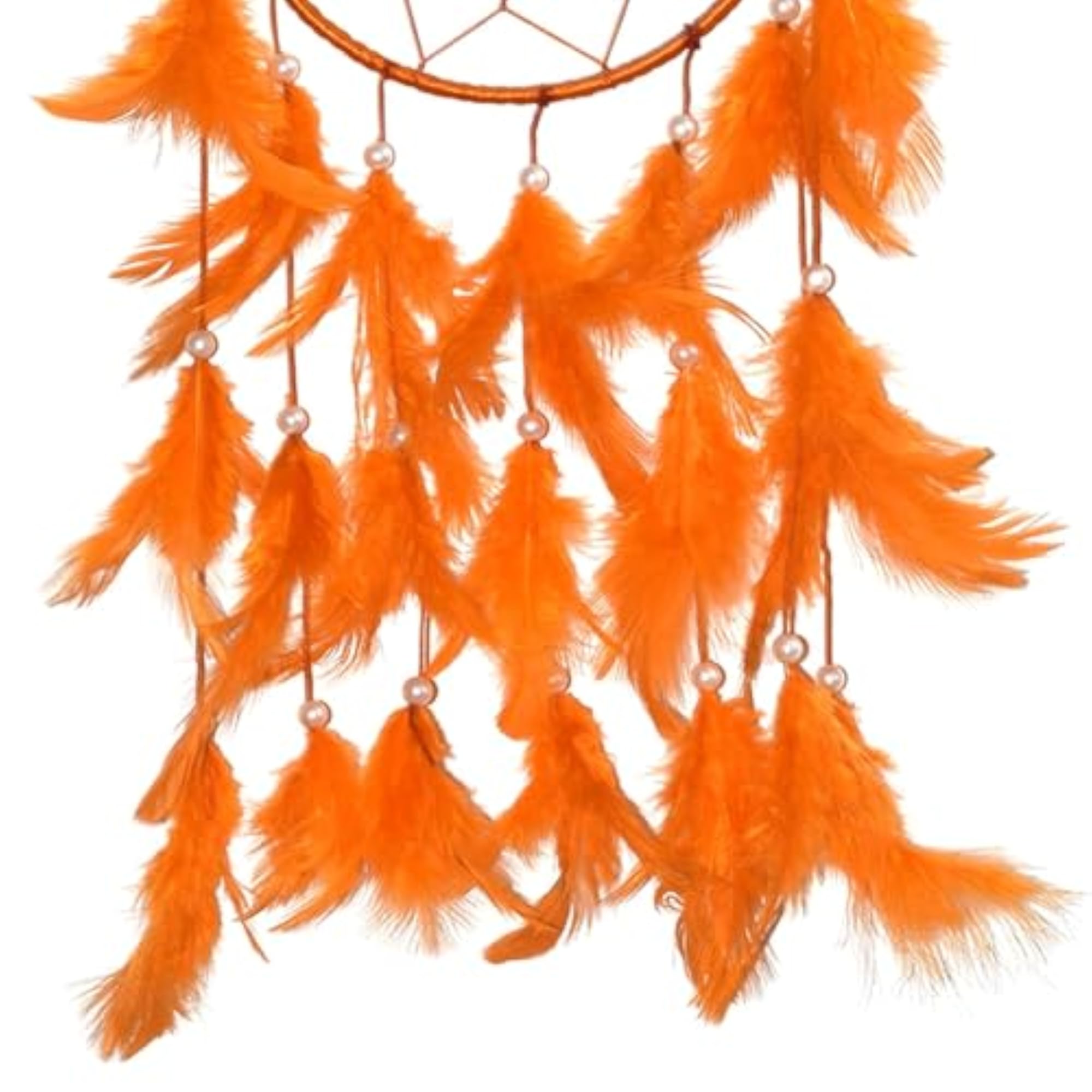 Handcrafted Dream Catcher with Natural Feathers for Wall Hanging